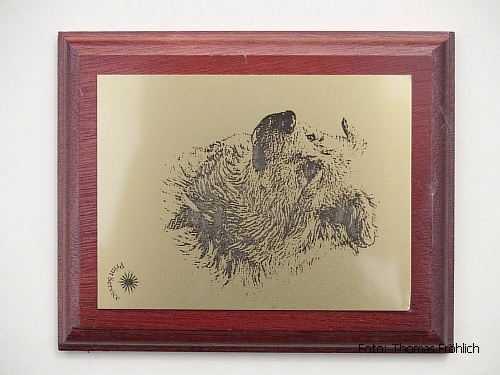 Fotogravur auf Metall